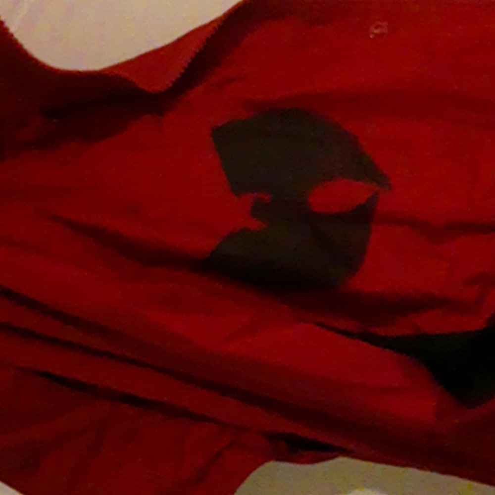 Like new Wu-Tang Helly Hanson Limited Edition windbreaker jacket.  Size sm/md